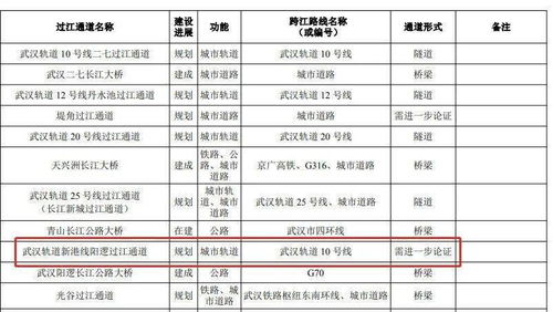新港線陽邏過江通道 是橋梁過江 還是隧道過江